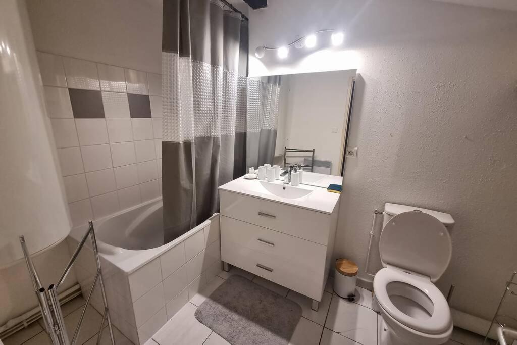 Appartement Exceptionnel 4 Etoiles Hyper Centre Albi 65 M2 Au 4Eme Etage Sans Ascenseur Avec Une Tour Du 12Eme Siecle Exterior foto